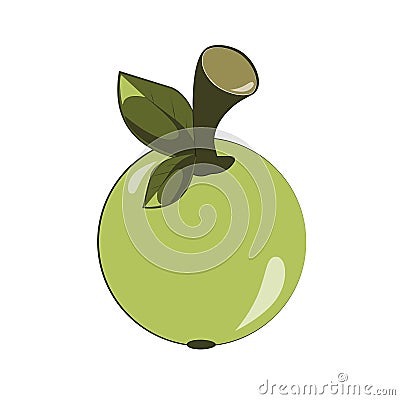 Flat vector green apple icon Stock Photo